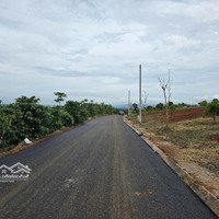 Gia Đình Chuyển Nhà Đi Nước Ngoài Cần Bán Lại Lô Đất Lộc Ngãi - Bảo Lâm -Lâm Đồng