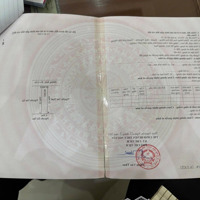 Giá Cực Tốt 1 Lô Đất 98,5M Chủ Cần Tiền Bán Gấp Giá Cực Tốt Chỉ 4,5 Tỷ Tđc Hoa Động Đường Rộng 7,5M
