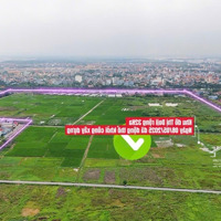 Giá Cực Tốt 1 Lô Đất 98,5M Chủ Cần Tiền Bán Gấp Giá Cực Tốt Chỉ 4,5 Tỷ Tđc Hoa Động Đường Rộng 7,5M