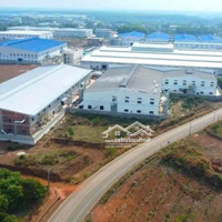 Bán Đất Tại Tân Lập, Đồng Phú, Bình Phước, Giá Bán 250 Triệudiện Tích250M2 Shr Gần Kcn Trường Học ,