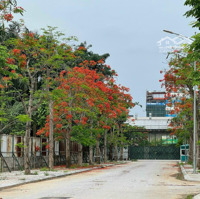 Mới Ra Hàng!!! Biệt Thự Song Lập Cạnh Jade Square Phạm Văn Đồng Có Sổ Đỏ Ngay, 180M2 Giá Bán 39 Tỷ