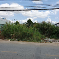 Chuyển Nhượng Đất Vườn Mặt Tiền Đường Số 4, Cắt Lò Lu, Trường Thạnh, Quận 9 Cũ