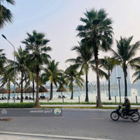 Bán Biệt Thự Song Lập San Hô,Diện Tích133,5 M2,Mặt Tiền9M, Gần Hồ, Cụm Chung Cư, Hướng Đông Nam, 26,5 Tỷ