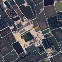Bán Đất Đường Nội Bộ Lý Nhơn, An Thới Đông,Diện Tích1000M2 Giá Bán 1.9 Tỷ