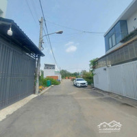 Bán Đất Tại Tam Đa, 3,55 Tỷ, 81 M2, Vị Trí Tiềm Năng