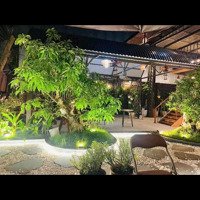 Bán Đất Kèm Quán Cafe 2 Tầng Lô Góc 2 Mặt Tiền . Trục Thông Nguyễn Sinh Sắc .
