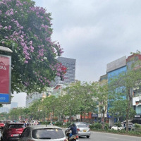 Toà Vp Đẳng Cấp Nhất Mặt Phố Xã Đàn - Đống Đa 103M2*10 Tầng - Thang Máy - 1 Hầm - Dòng Tiền 2 Tỷ/N