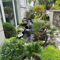 Cần Bán Gấp: Song Lập Anh Đào. 166M2. Hoàn Thiện Đẹp. Gần Vườn Hoa. Đường Thông. Giá Bán 46.5 Tỷ