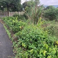 Bán Mảnh Đất 220M2, Lô Góc 2 Mặt Đường Ô Tô Tránh.mặt Tiền11M, Cam Kết Cắt Lỗ Rẻ Nhất Thị Trường