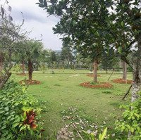 Bán Mảnh Đất 220M2, Lô Góc 2 Mặt Đường Ô Tô Tránh.mặt Tiền11M, Cam Kết Cắt Lỗ Rẻ Nhất Thị Trường