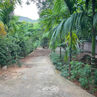 Lô Đất Giáp Suối Tại Khánh Thượng,Ba Vì,Hà Nội. Trên Đất Sẵn Vườn Cây Ăn Trái 4 Mùa, Gần Trường Học
