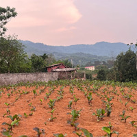 Đất Minh Quang,Ba Vì,Hà Nội, View Núi,View Sông Thoáng Đẹp, Gần Hồ Điều Hoà,Cách Tl415 Chỉ Hơn 100M