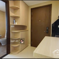 Căn Hộ Cc Cho Thuê Tại The Tresor, 9,5 Triệu, 30M2, Hàng Hot