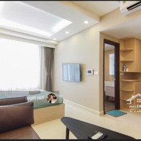 Căn Hộ Cc Cho Thuê Tại The Tresor, 9,5 Triệu, 30M2, Hàng Hot