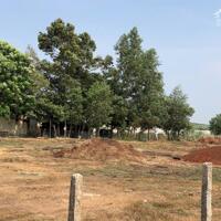 Bán đất tại Đường Quốc lộ 1A, Xã Xuân Hưng, Xuân Lộc, Đồng Nai diện tích 4488m2 giá 17 Tỷ
