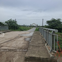 Bán Đất Đại Trạch Phường Đình Tổ Thuận Thành Bắc Ninh St 85Mmặt Tiền6M Ngõ 4 M Ôtô Thông K Doanh Nhỏ