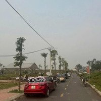 Đất Đấu Giá Chu Phan Lô 74 Chênh Nhẹ Như Bông