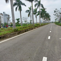 Chính Chủ Cần Bán Lô Mặt Tiền Hàng Dừa 29/3, Hoà Xuân, Cẩm Lệ, Đà Nẵng