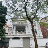 Rẻ... Bán Gấp Biệt Thự Phố Mạc Thái Tông - Kinh Doanh - 180M2 X 8M Mặt Tiền: 55 Tỷ