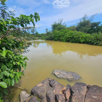 Bán 4Ha Đất Kcn Tân Đức Giáp Sông Giềng, Cách Ql1A 850M Gần Nút Giao Cao Tốc Dầu Giây Phan Thiết