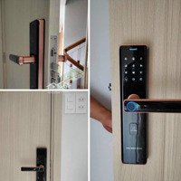 Bán Gấp Căn Hộ Chung Cư 52M2, 1,62 Tỷ Tại Iris Tower, Bình Hòa, Thuận An, Bình Dương
