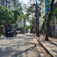 Cần Bán Nhà Phân Lô Dịch Vọng, 200M2Mặt Tiền10, Đường Hè 3 Ô Tô Tránh, Hiếm Đẹp Nhất Cầu Giấy