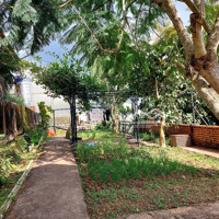 Bán Nhà Vườn Gần Trung Tâm Đà Lạt