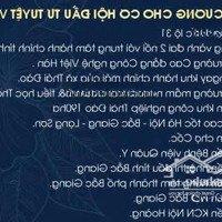 Bán Gấp Đất Nền Dự Án Thái Đào Residence, 32 Triệu / M2, 114 M2 Ở Thái Đào, Lạng Giang, Bắc Giang