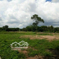 Bán Đất Gầnmặt Tiềnquốc Lộ 51, 35 Triệu / M2, 1000 M2, Long Thành, Đồng Nai, Giá Siêu Hời