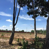 Bán Đất Gầnmặt Tiềnquốc Lộ 51, 35 Triệu / M2, 1000 M2, Long Thành, Đồng Nai, Giá Siêu Hời