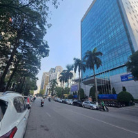 Bán Nhà Mặt Phố Cầu Giấy, 34,5 Tỷ, 65M2, 7 Tầng Thông Sàn Thang Máy, Vỉa Hè Rộng, Ô Tô Dừng Đỗ.