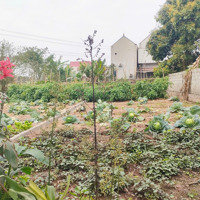 Duy Nhất Dung Tiến Đông Tảo! Cc Bán 100M2/2.4 Tỷ View Sông Đông Quê, Đường Ô Tô Xe Máy, 0961532168