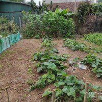 Chính Chủ Bán Lô Đất 90M Mặt Đường Phường Hoàng Lâm.