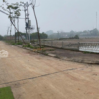 Chính Chủ Mới Chúng Đấu Giá Lk2-05 Mặt Đường Chợ Xã Hưng Đạo Quốc Hoai Hn, 90M2 Gía Chúng 74 Triệu/M2