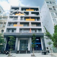 "Bán Tòa Chdv 8 Tầng Quận 7 300 Triệu/Tháng Giá Chỉ 50 Tỷ: Cơ Hội Vàng Cho Nhà Đầu Tư!"