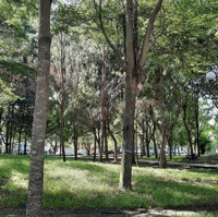 Đất Nền Đầu Tư Ngay Hà Huy Giáp-Quận 12 80M2 1Tỷ950, Hẻm Rộng, Nhiều Tiện Ích Thích Hợp Đầu Tư