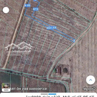 Đất Siêu Rẻ Bình Châu - Xuyên Mộc - Brvt