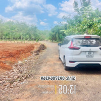 Đất Siêu Rẻ Có Suối Tân Lâm - Xm - Brvt