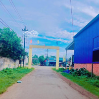 Chính Chủ Cho Thuê Đất Kinh Doanh Lâu Dài Km16, 230 M2,