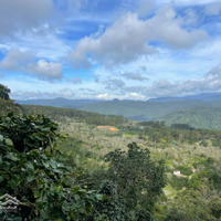 Chính Chủ Bán Lô Đất Tại Xã Trạm Hành, Đà Lạt,Diện Tích: 4000M2, Giá Bán 2,2 Tỷ, View Cực Đẹp Săn Mây