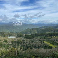 Chính Chủ Bán Lô Đất Tại Xã Trạm Hành, Đà Lạt,Diện Tích: 4000M2, Giá Bán 2,2 Tỷ, View Cực Đẹp Săn Mây