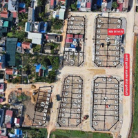 Còn Sót Lại Duy Nhất 1 Lô Đấu Giá Bái Trong- Hoa Động Dãy N5