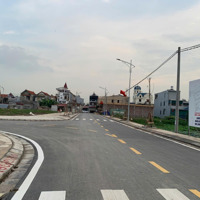 Còn Sót Lại Duy Nhất 1 Lô Đấu Giá Bái Trong- Hoa Động Dãy N5