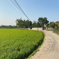 Bán Nhanh Lô Đất View Cánh Đồng Thông Thoáng Tại Hòa Nhơn.
