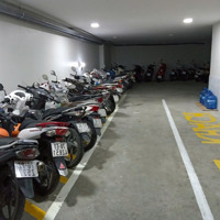 Bán Nhà Riêng 28 Tỷ, 147.3M2, 29 Phòng Ngủ 29 Vệ Sinhtại Phạm Cự Lượng, P 2, Tân Bình, Hcm