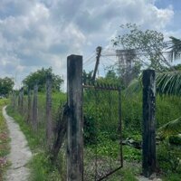 Nền thổ  cư ấp 1 lạc tấn giá công nhân