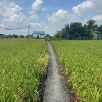 Nền thổ  cư ấp 1 lạc tấn giá công nhân