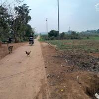 Bán đất xã Thạch Sơn, huyện Thạch Thành, tỉnh Thanh Hóa 2040m2, mặt tiền 54m.