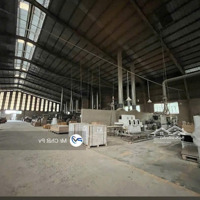 Bán Xưởng Ngay Sân Vận Động Gò Đậu: 10 651M² Đang Cho Thuê 700 Triệu/ Tháng