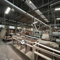Bán Xưởng Ngay Sân Vận Động Gò Đậu: 10 651M² Đang Cho Thuê 700 Triệu/ Tháng